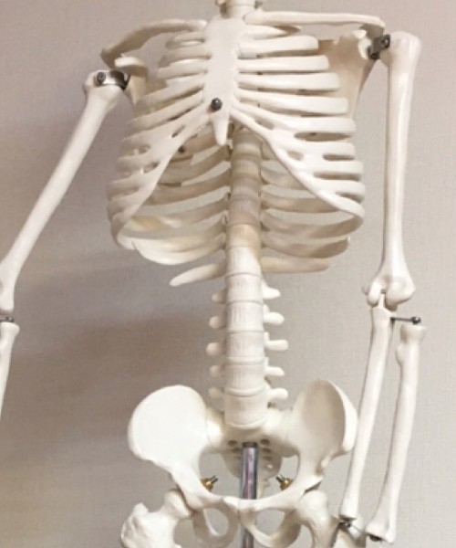 美容整骨の資格を取得する